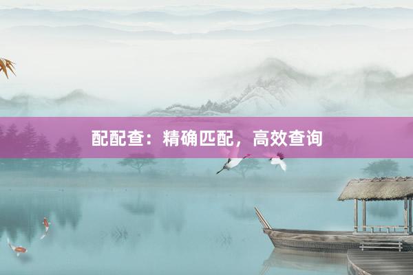 配配查：精确匹配，高效查询